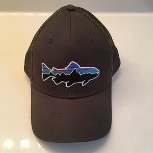 Patagonia Trucker Hat